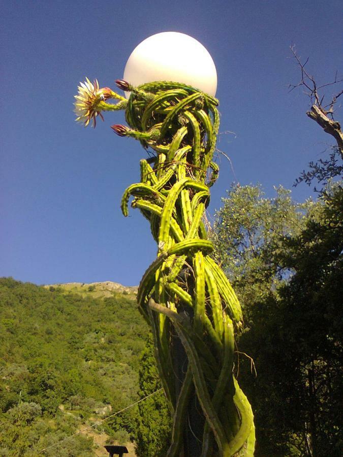 La Margherita Di Teriasca Luaran gambar